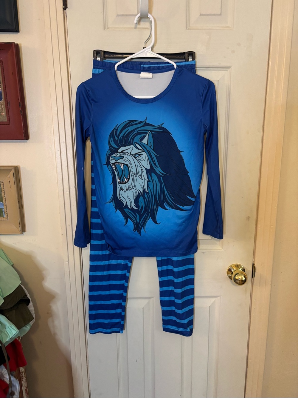 Blue Lion Graphic Kids Pajamas - Long Sleeve Two-Piece